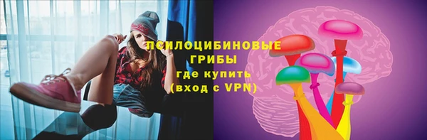 стафф Гусиноозёрск