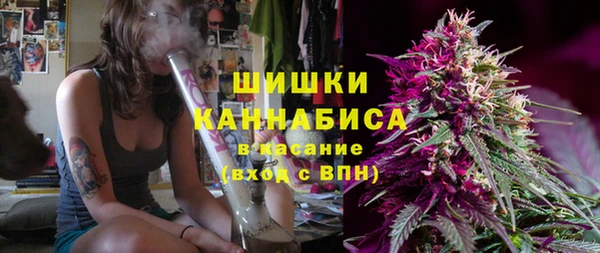 Альфа ПВП Гусев