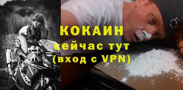 Альфа ПВП Гусев