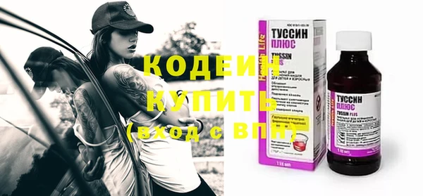 apvp Гусь-Хрустальный