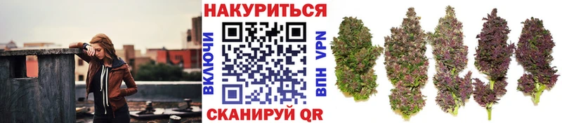 Марихуана ГИДРОПОН Ершов