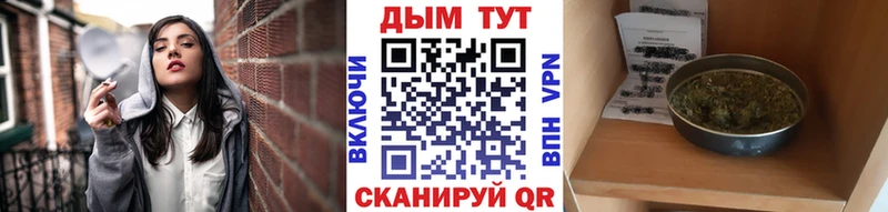 наркота  Ершов  Бошки марихуана сатива 